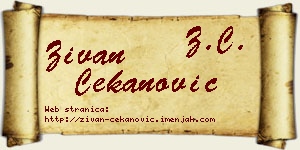 Živan Čekanović vizit kartica